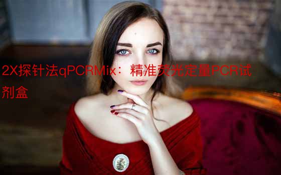 2X探针法qPCRMix：精准荧光定量PCR试剂盒